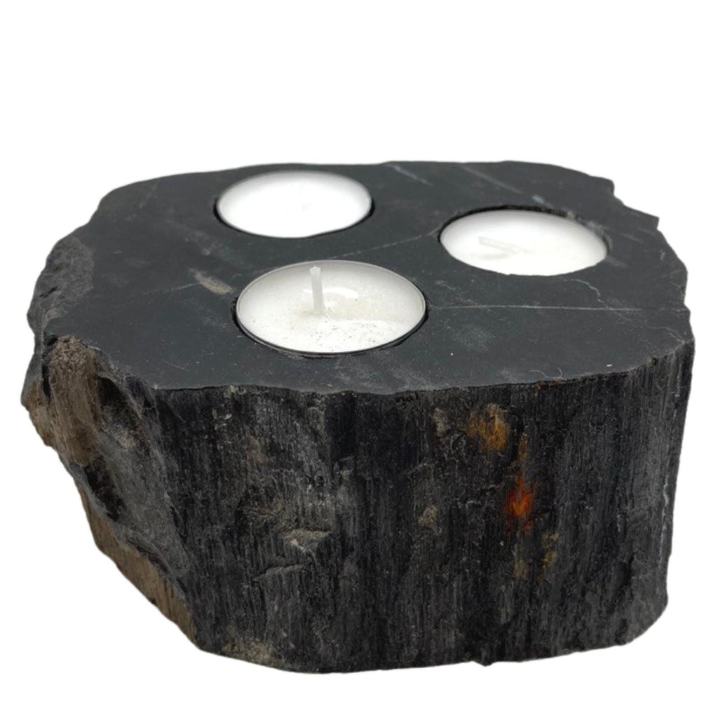 Petrified Wood Candle Holder – Triple – detail view 3 of petrified wood candle holder